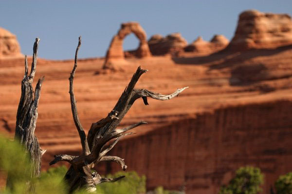 Delicate Arch